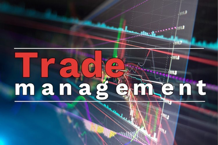 Trade Management Market Size, Share, Growth, Key Players, and Forecast 2024-2032