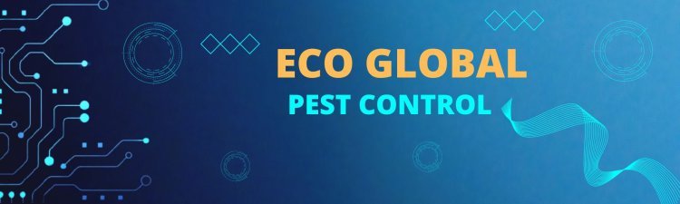 Eco Global Pest Control - Silverfish Pest Control