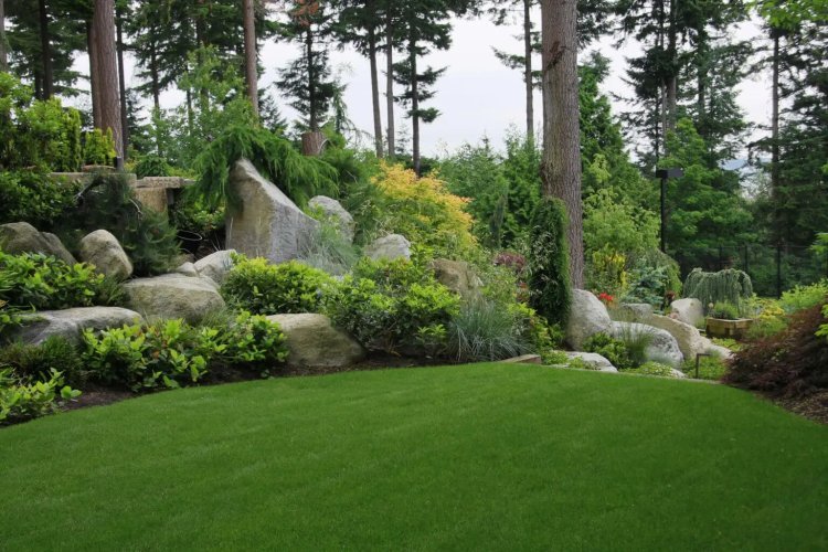 Landscaper Services Loveland for Exceptional Outdoor Design