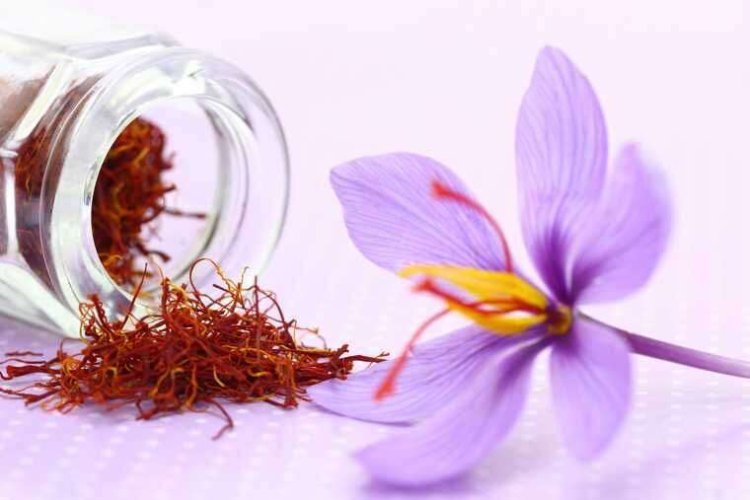 Unveiling the Radiance: Saffron Benefits for Skin