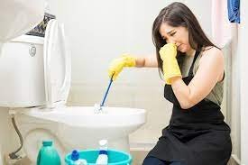 How to Eliminate Toilet Odor?
