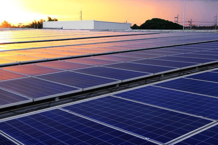 How to Find the Top Solar Panel Company in India?