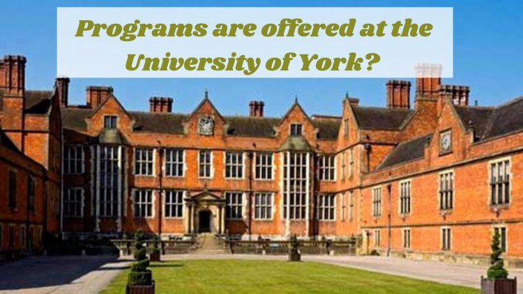 What programs are offered at the University of York?