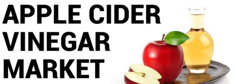 Apple Cider Vinegar Market Size, Share and Forecast by 2028