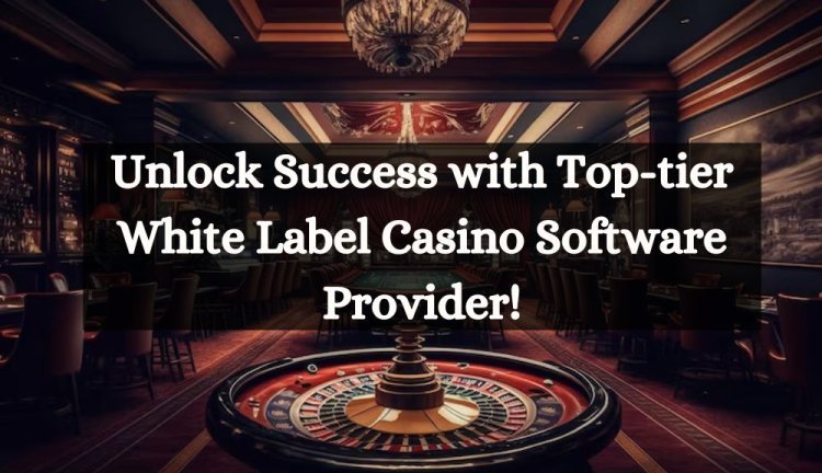 Unlock Success with Top-tier White Label Casino Software Provider!