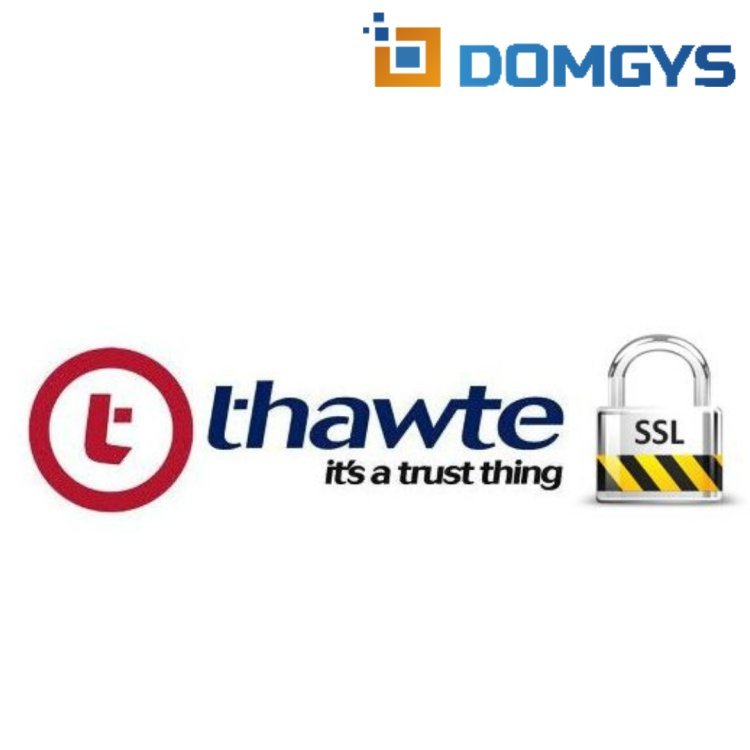 Why Thawte SSL Certificates Are Essential for Secure Online Transactions - DOMGYS