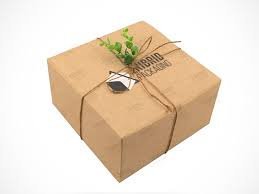 Eco-Friendly Packaging Boxes: Pioneering Environmental Responsibility in Shipping