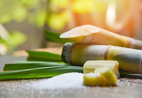 Brazil Cane Sugar Market to See Striking Growth by 2032