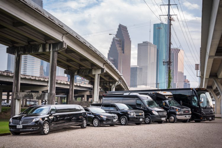 A Luxurious Adventure: Limo Transportation in New Orleans and Plantation Swamp Tours