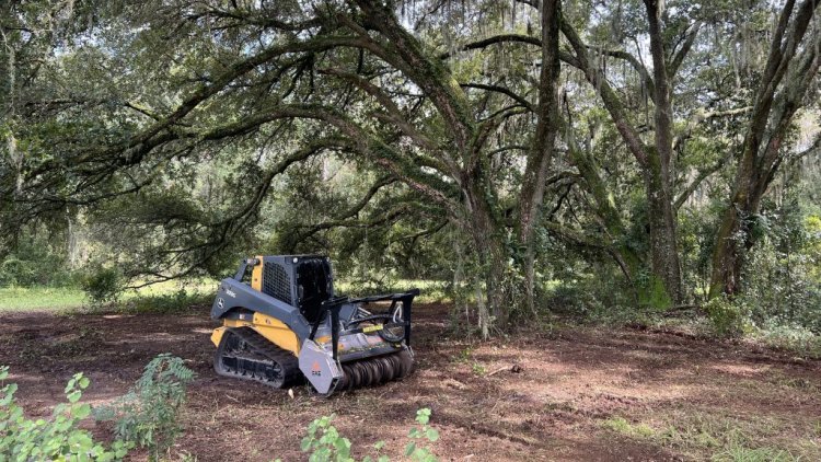 Know When to Reach Out: 4 Instances to Contact a Land Clearing Contractor.