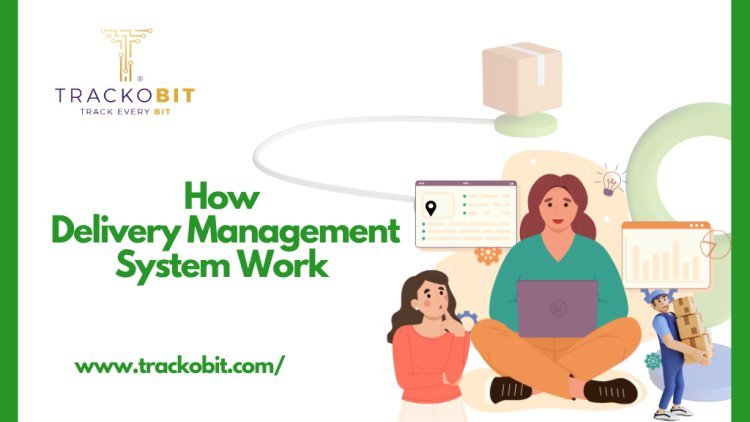 Delivery Management System: How Does Such Software Work?