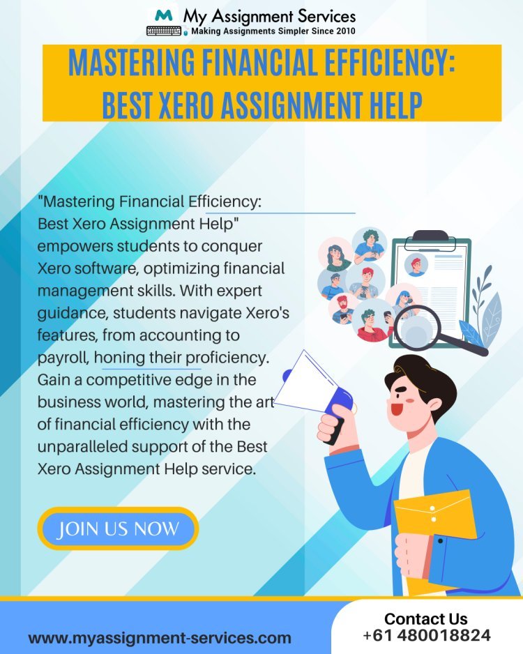 Mastering Financial Efficiency: Best Xero Assignment Help