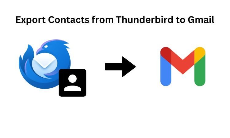 How to Export Contacts from Thunderbird to Gmail?