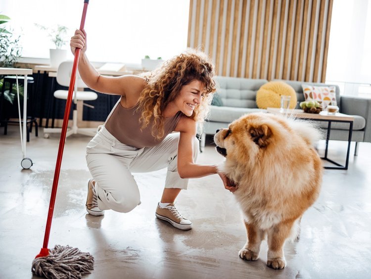 Customized Fitness Plans: How Pet Pros Tailors Programs to Your Pet's Needs