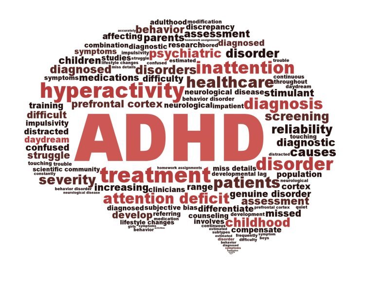 Understanding ADHD: Deciphering the Neuronal Pathways