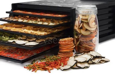 The Rise the Excalibur Dehydrator Australia in Your Kitchens
