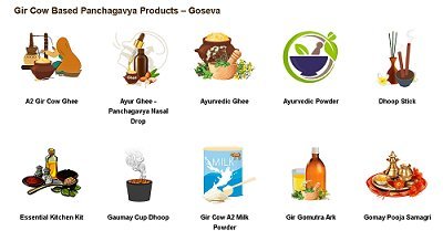 Unleashing the Power of Panchgavya Products: A Journey through Goseva's Ayurvedic Products