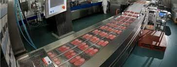 Meat Processing Equipment Market Size, Share, Growth and Business Statistics 2024-2032