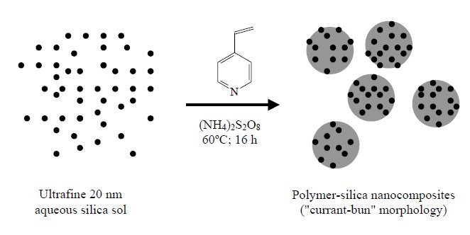 Polymer Colloids Market Insights by Size, Status and Forecast 2031