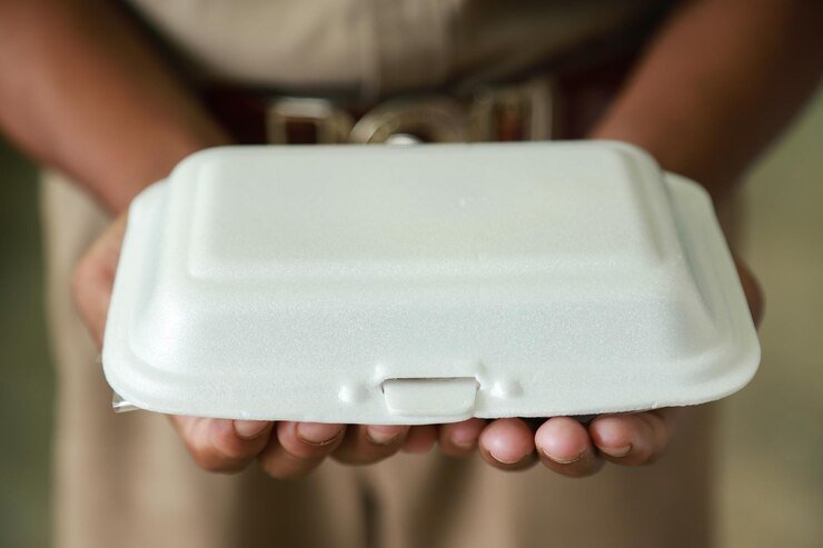 T009 Disposable Bagasse Trays: Perfect for Any Occasion