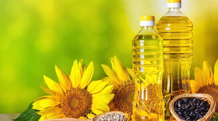 Organic Cooking Oil Market Size, Analysis and Growth