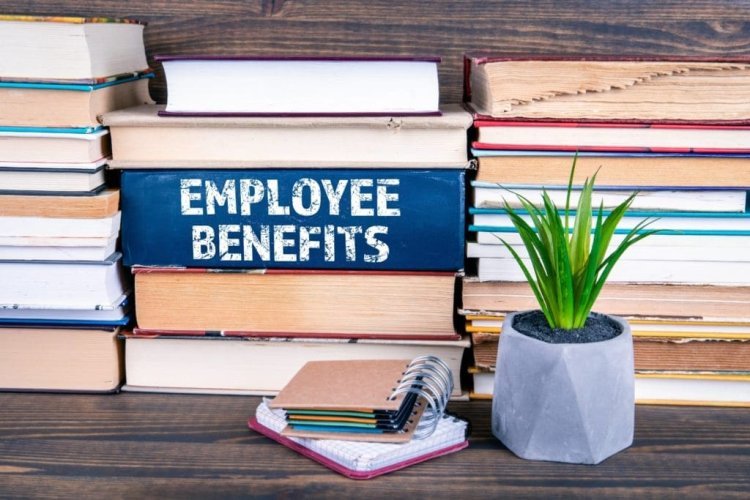 5 Ways an Employee Benefits Consultant Can Save Your Business Money