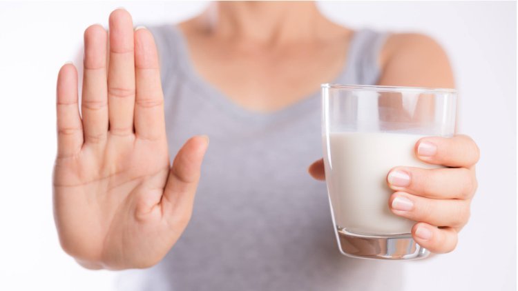 Lactose Market Size, Share And Growth Analysis For 2019-2029