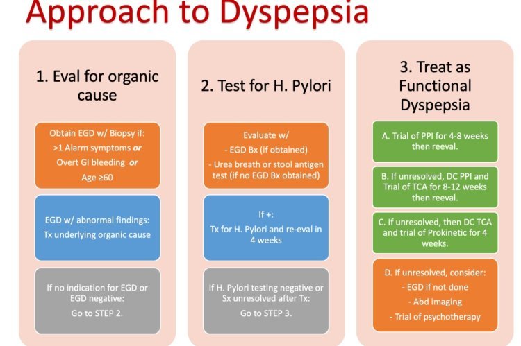 Dyspepsia: Causes, Symptoms and Natural Treatment 