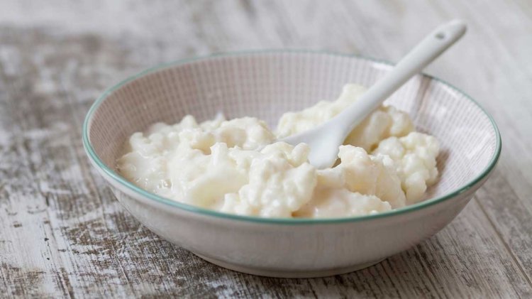 Kefir Market Resilience: Adapting to Dynamic Growth and Challenges 2024-2032