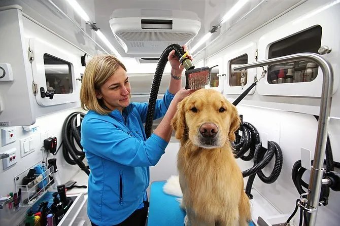 Mobile Pet Care Market Share, Price Trends, Growth Drivers, and Forecast 2024-2032