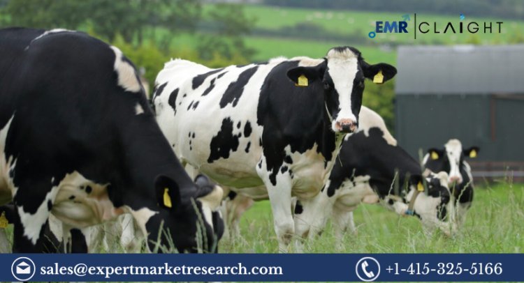 Europe Dairy Market Size, Trends, Segmentation, Analysis 2024-2032