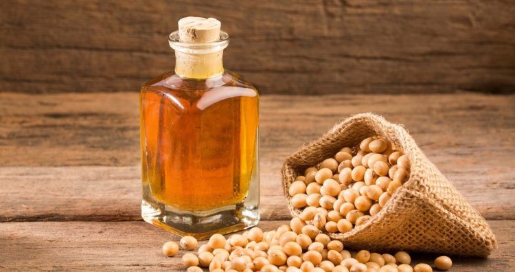 Global Soybean Oil Market Trends and Performance Forecast 2024-2032