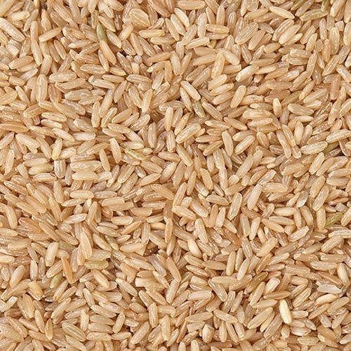 Global Brown Rice Market Trends and Performance Forecast 2024-2032