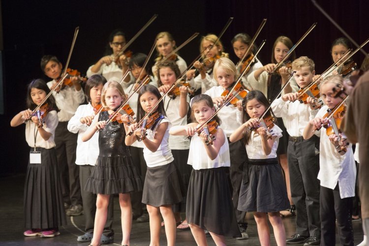 Qualities to Look for in a Violin Teacher in San Francisco