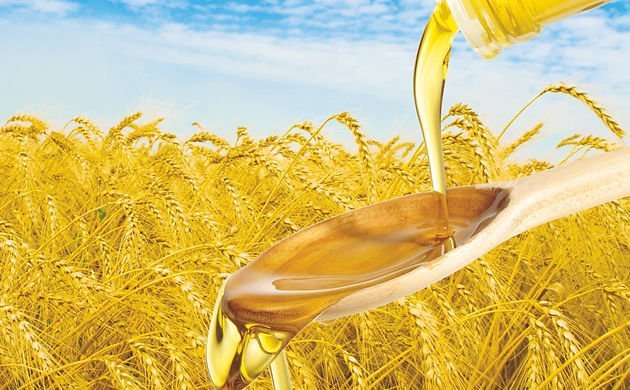 Global Rice Bran Oil Market Trends and Performance Forecast 2024-2032