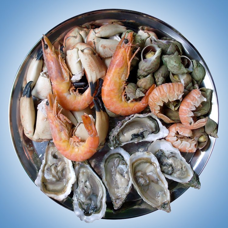 Seafood Market Projections: Trends, Size, Growth, and Analysis (2024-2032)