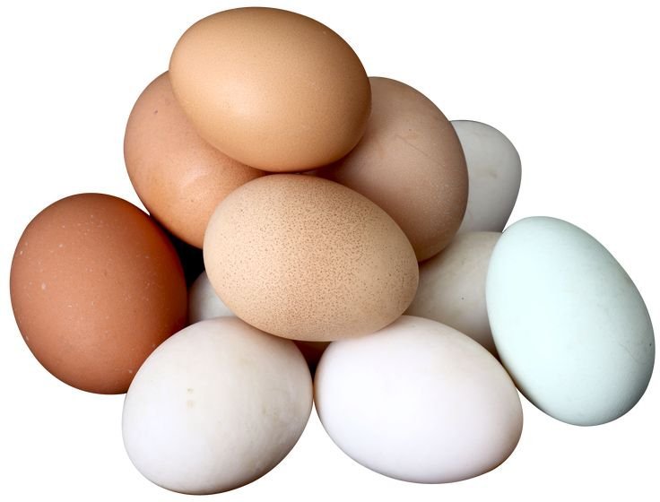 The Eggs Market Trends and Growth Forecast 2032