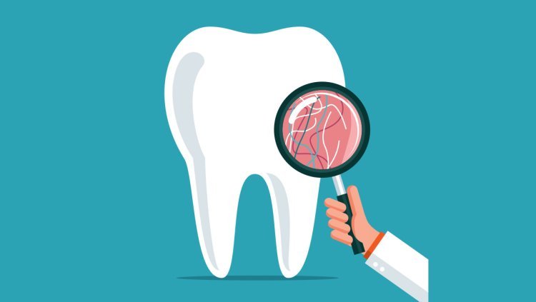 Dental Insurance Market Size, Share, Outlook, Industry Analysis and Forecast 2024-2032