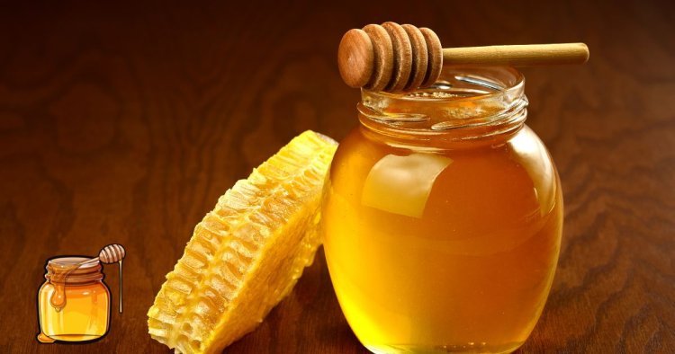 Can you recommend any reputable brands or suppliers of Sidr honey in Dubai?