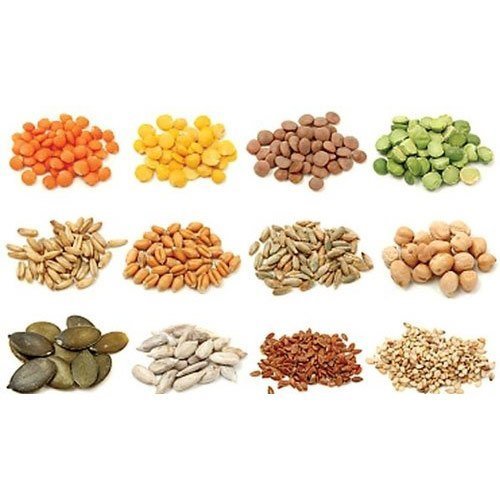 Vegetable Seeds Market Dynamics and Strategic Growth Insights 2024-2032