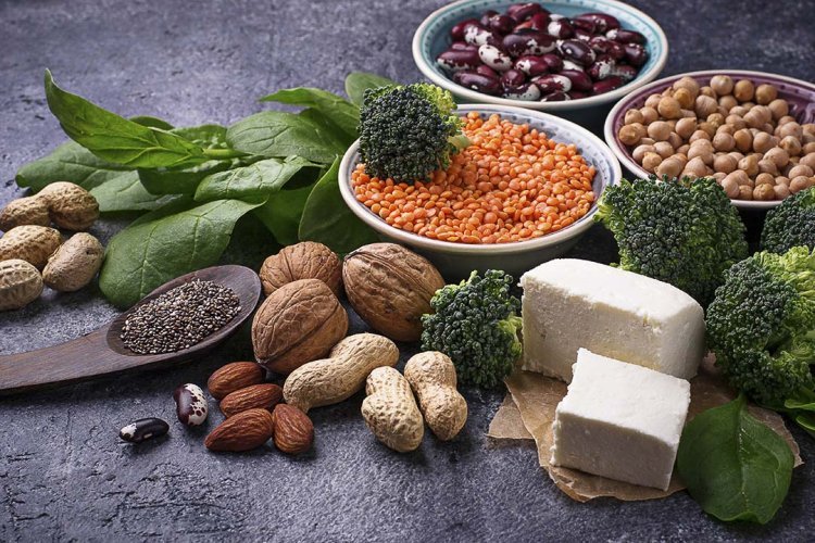 Global Plant Based Protein Supplements Market Trends and Performance Forecast 2024-2032