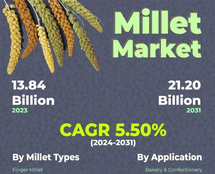 Millet Market Dynamics and Strategies for Success 2023-2031 | KR