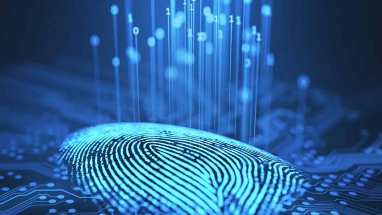 Europe Fingerprint Biometrics Market Growing Popularity and Emerging Trends to 2032