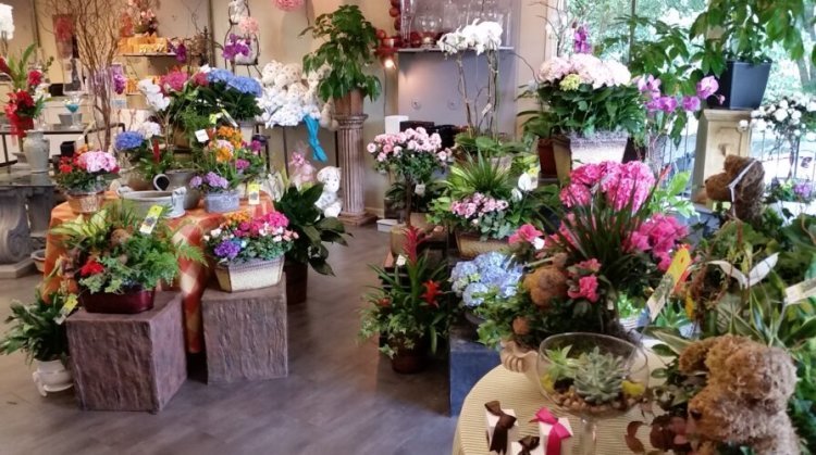 Petals and Posies: Unleashing Your Creativity at the Flower Shop