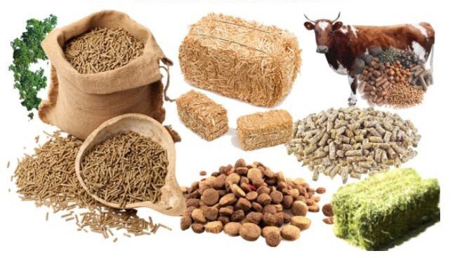 Animal Feed Probiotics Market Future Landscape To Witness Significant Growth by 2027