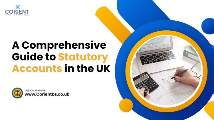 A Comprehensive Guide to Statutory Accounts in the UK
