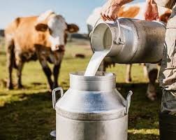 The India Dairy Market Trends and Growth Forecast 2032