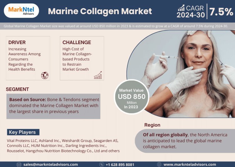 Marine Collagen Market Research Breakthrough: 2023 Registers 850 Million Valuation, Envisions Impressive 7.5% CAGR Surge by 2030
