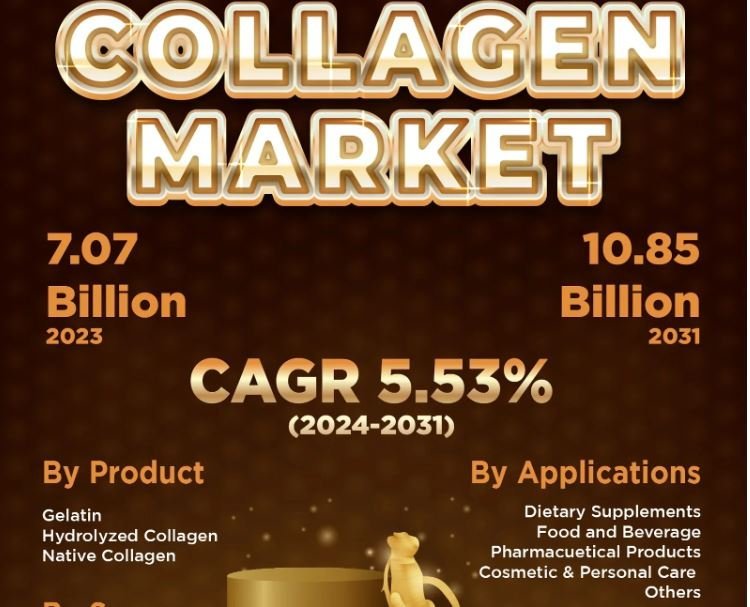 Collagen Market Size by Growth Rate, Business Challenges, Competitors & Forecast 2031