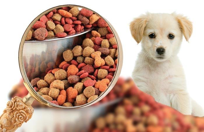 Global Pet Food Market Insights: Key Drivers and Future Growth Prospects 2032